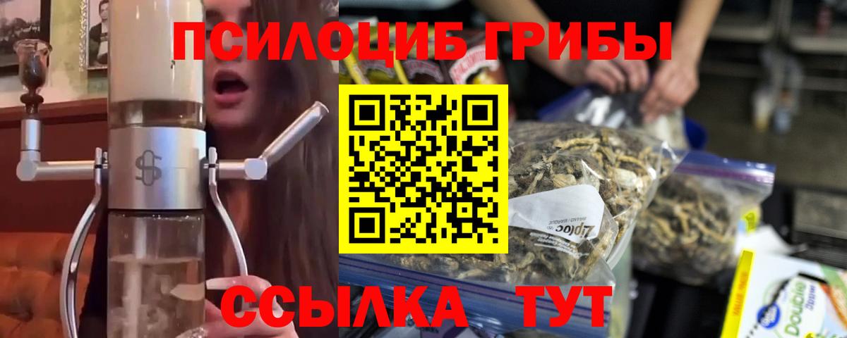 Галлюциногенные грибы Psilocybine cubensis  Галлюциногенные грибы Cubensis  Сызрань  Вход с VPN 